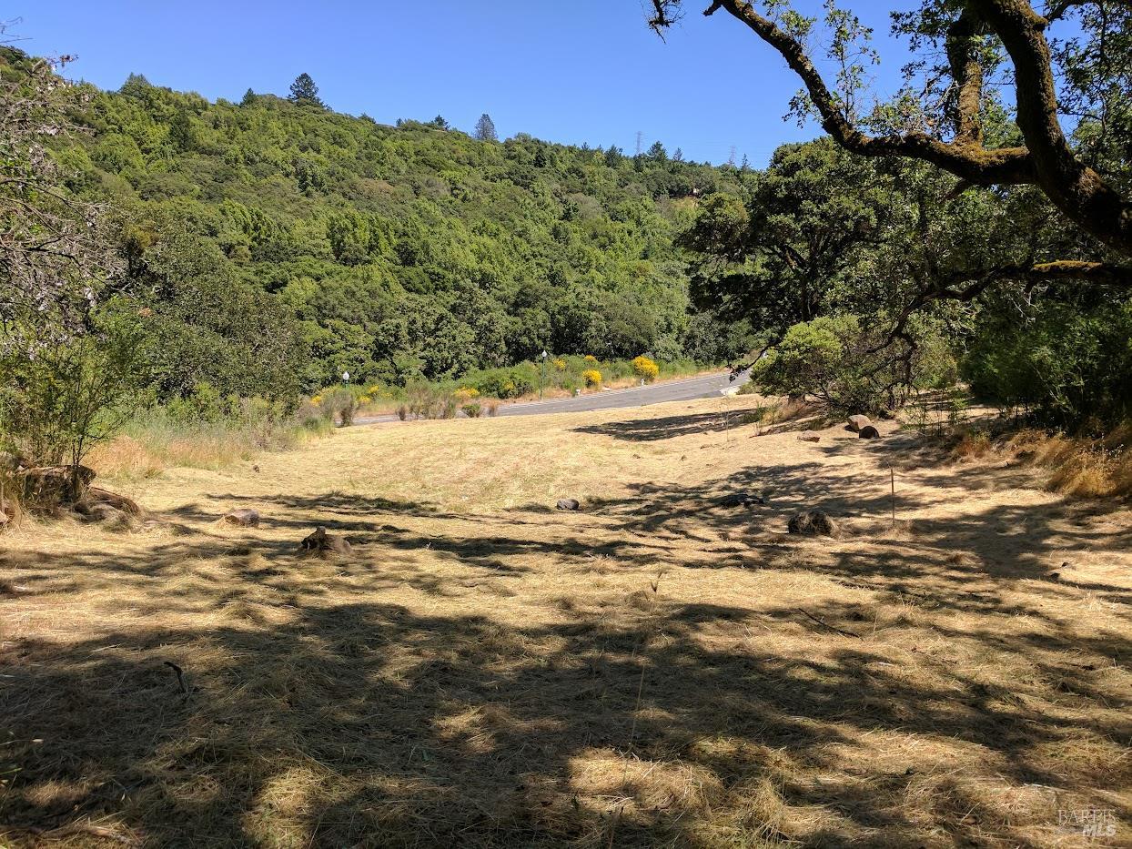 3950 Silver Fox Court Santa Rosa, CA 95403 - Photo 5 of 9 a view of ocean view