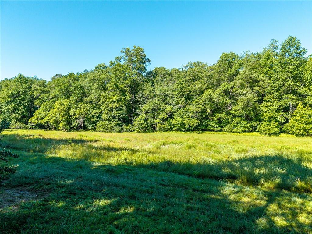 5664 Mobile Road Blue Ridge, GA 30513 - Photo 78 of 82