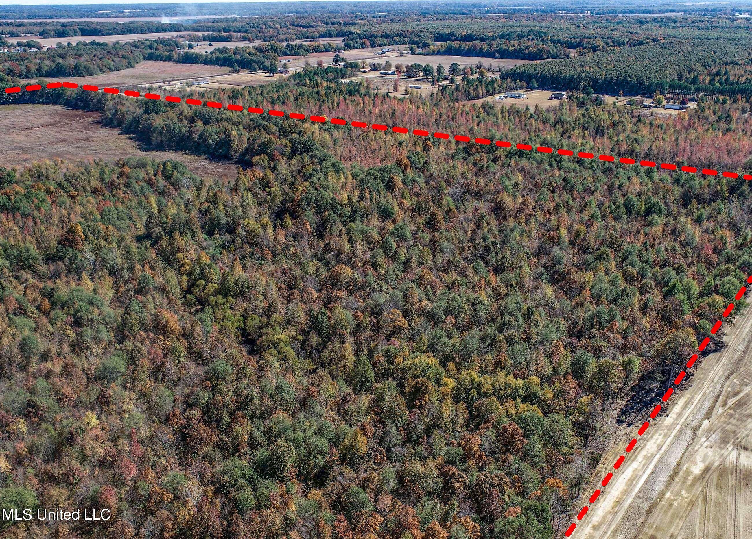 5151 Nash Road Batesville, MS 38606 - Photo 10 of 75 2irvi13C