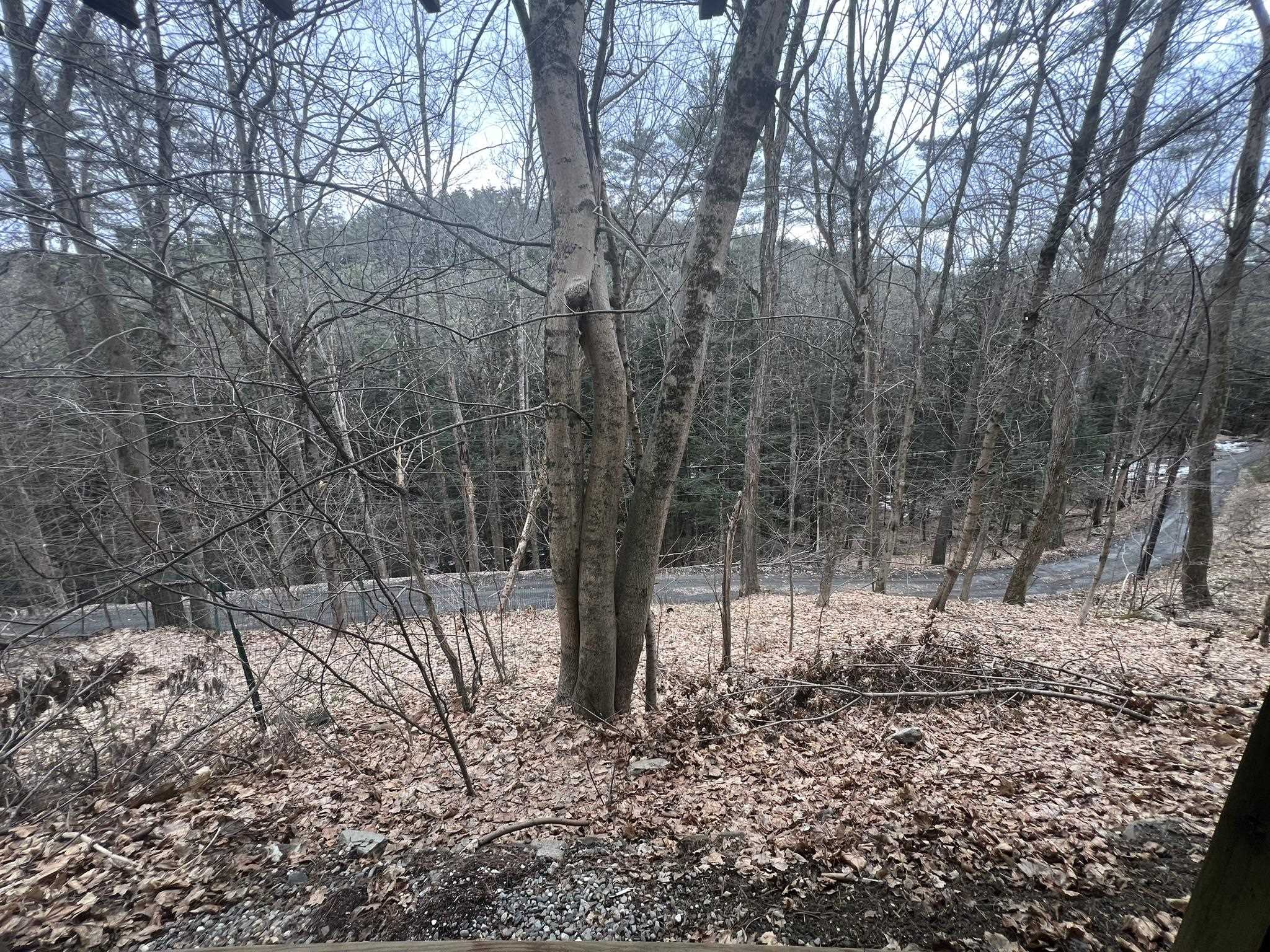 85 Lebanon Street Hanover, NH 03755 - Photo 30 of 30