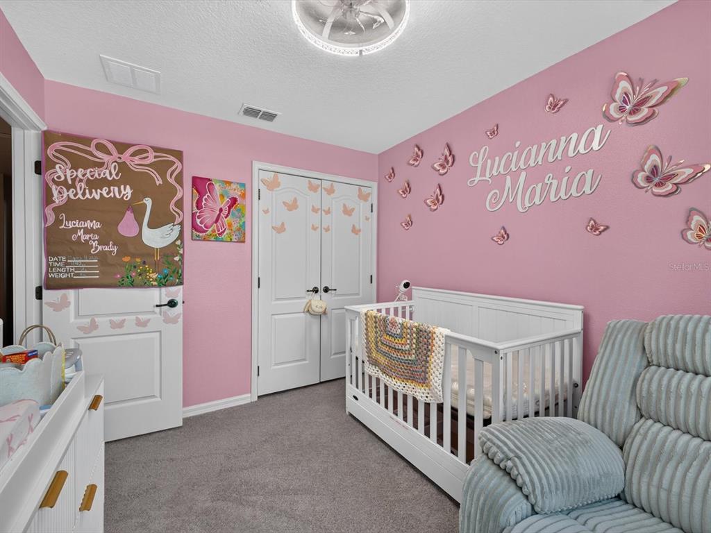 12988 Borland Street Windermere, FL 34786 - Photo 21 of 28