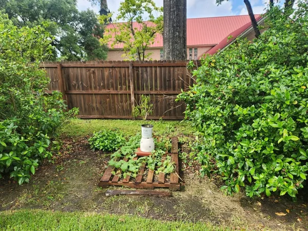 a garden with wooden fence