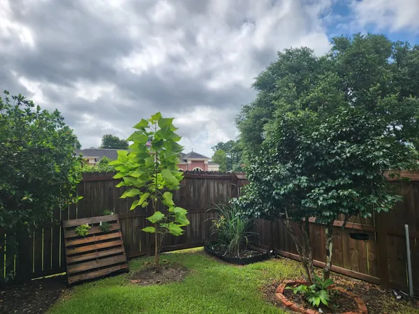 a backyard of a house with lots of green space and plants