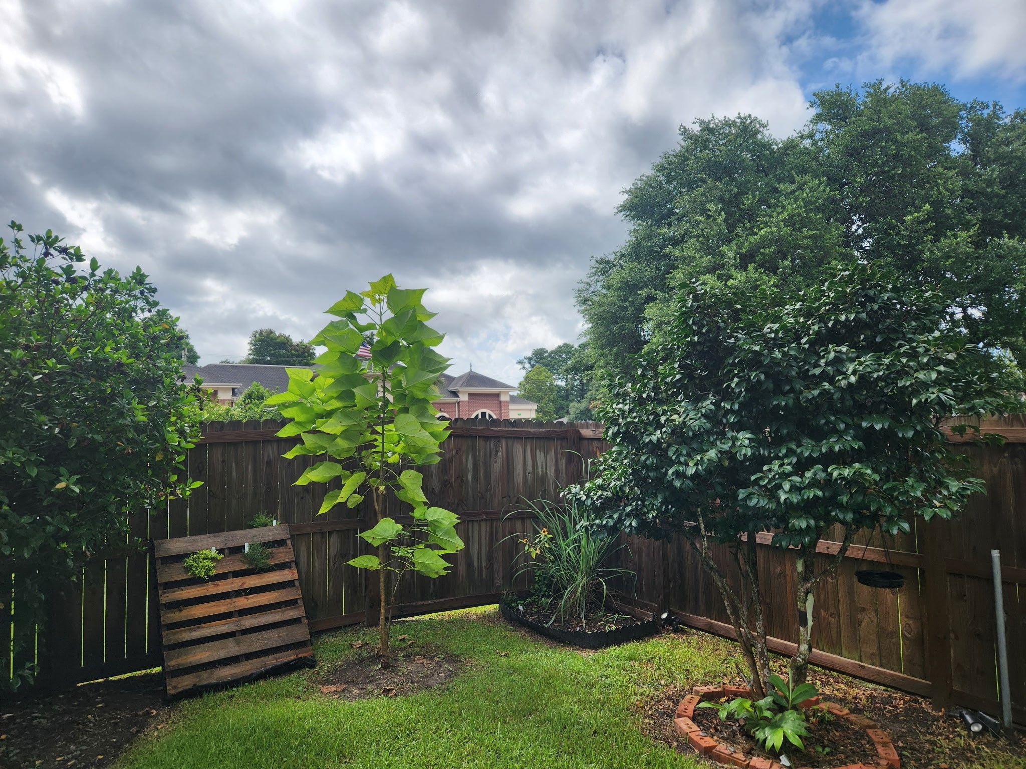 620 North 5th Street Silsbee, TX 77656 - Photo 31 of 33 a backyard of a house with lots of green space and plants