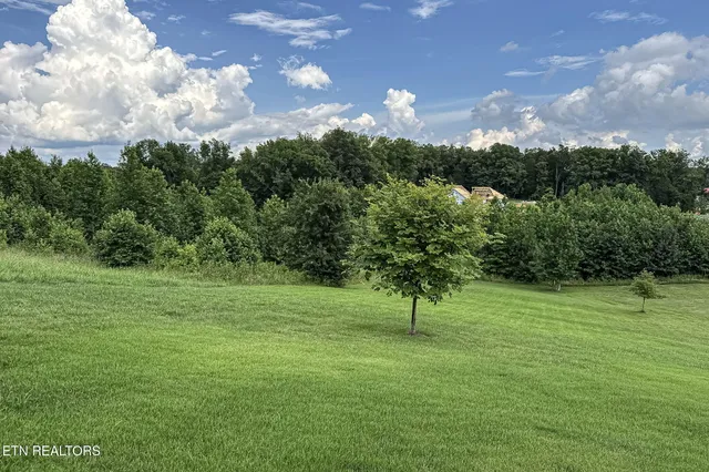 $850,000 | 433 Water View Drive, Rockwood, TN 37854