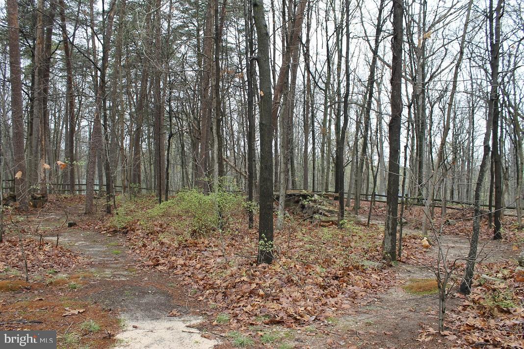 7792 Kawshek Path Hanover, MD 21076 - Photo 17 of 18