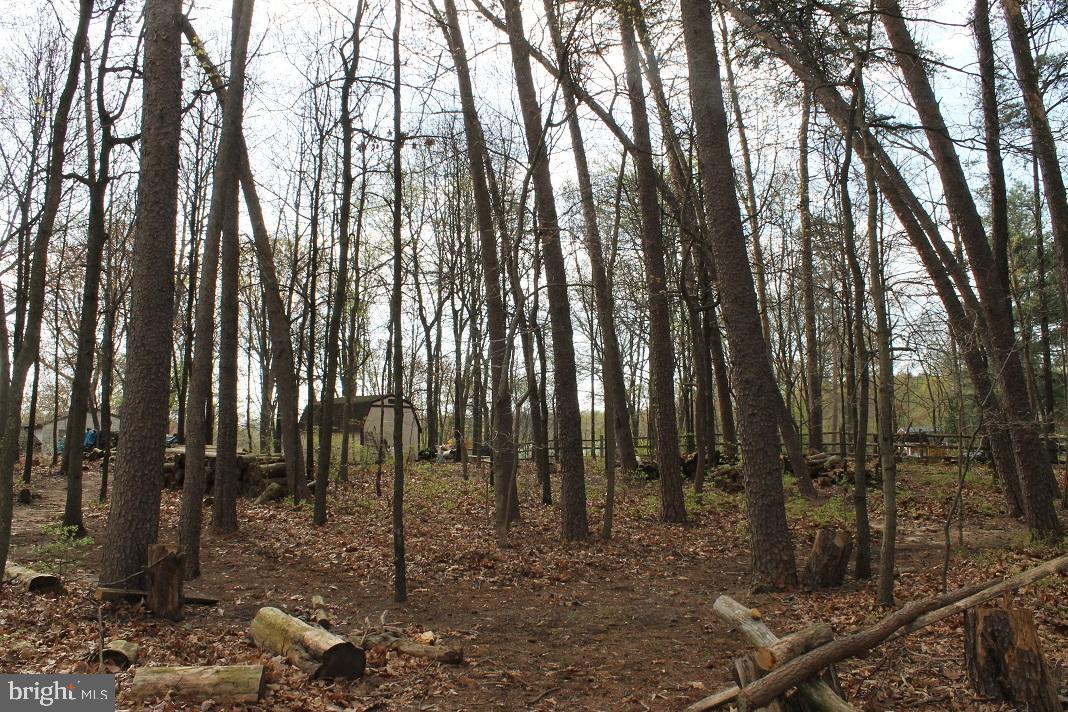 7792 Kawshek Path Hanover, MD 21076 - Photo 18 of 18