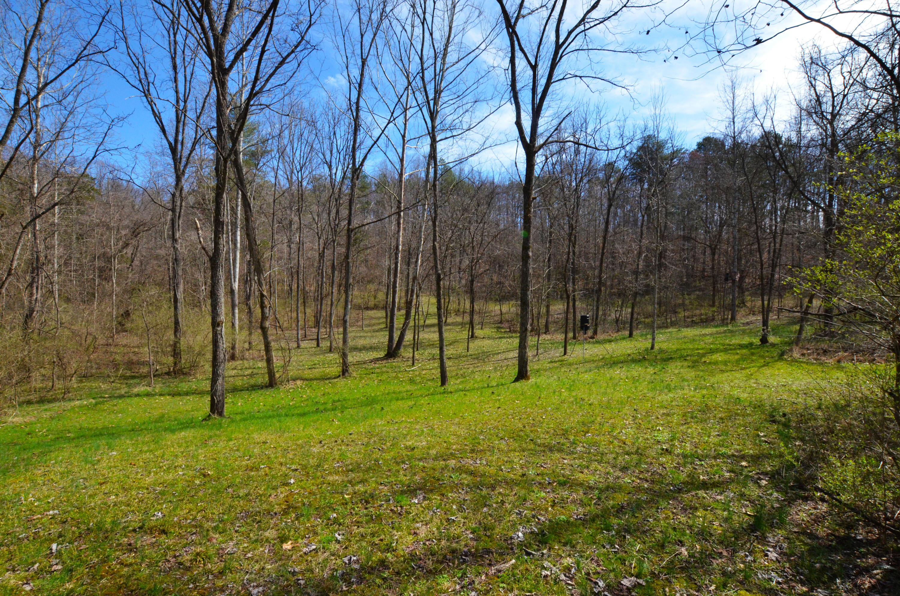 615 Bobby Miller Road Irvine, KY 40336 - Photo 40 of 50 Hunting fields!