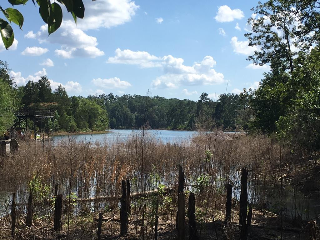 159 McDaniel Road Modoc, SC 29838 - Photo 1 of 4 Main View