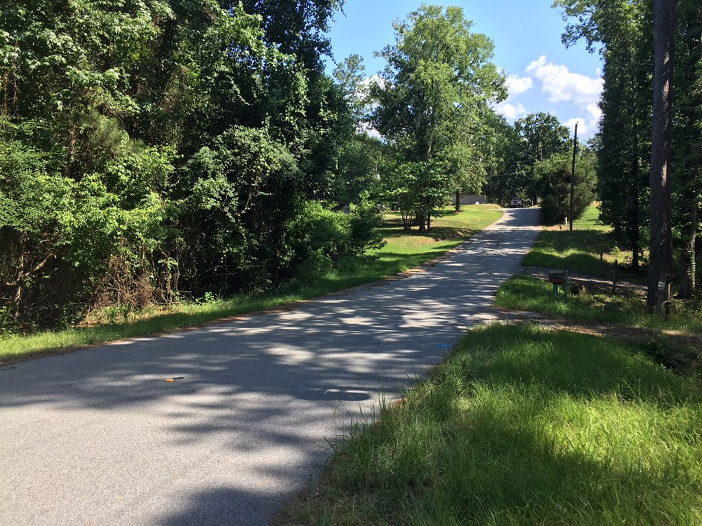 159 McDaniel Road Modoc, SC 29838 - Photo 2 of 4