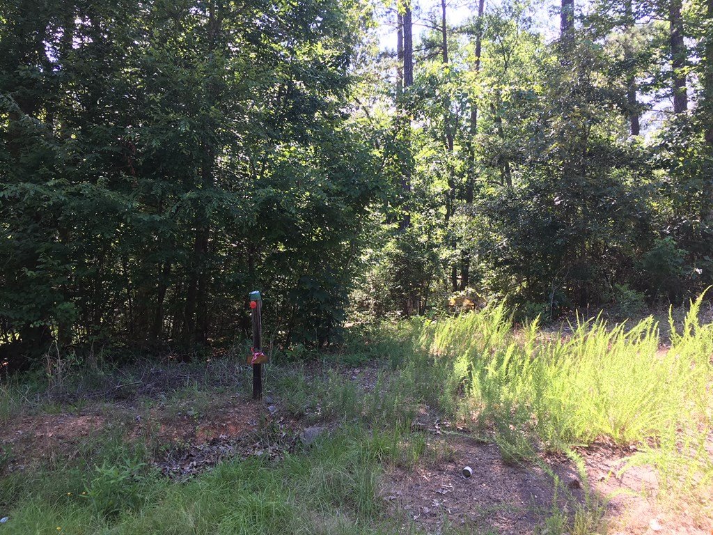 159 McDaniel Road Modoc, SC 29838 - Photo 3 of 4