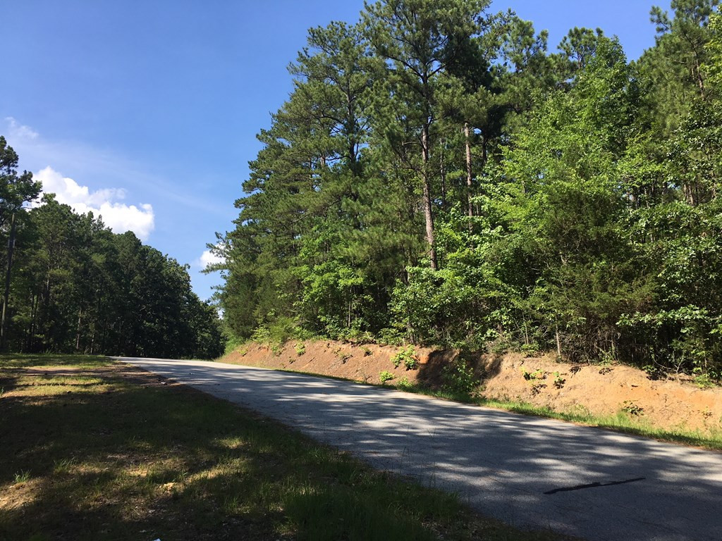 159 McDaniel Road Modoc, SC 29838 - Photo 4 of 4