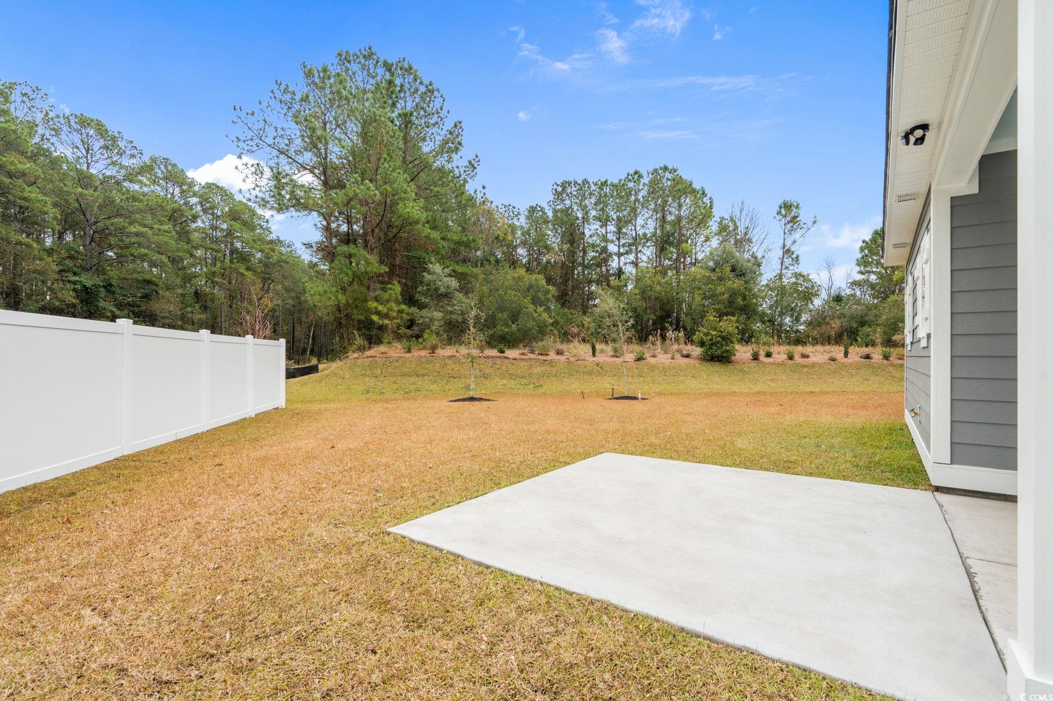 144 Arbor Ridge Circle Conway, SC 29526 - Photo 18 of 40 View of yard with a patio