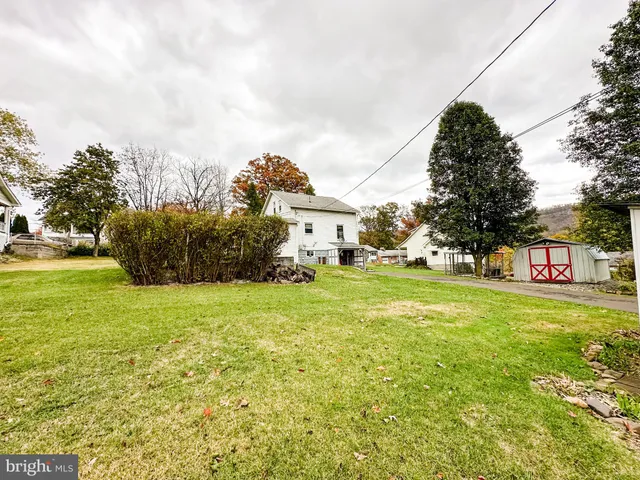 a view of a big yard with plants and a fountain
