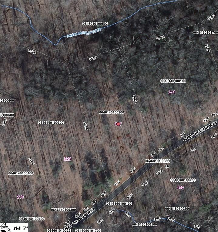 227 Snap Dragon Way Landrum, SC 29356 - Photo 2 of 2