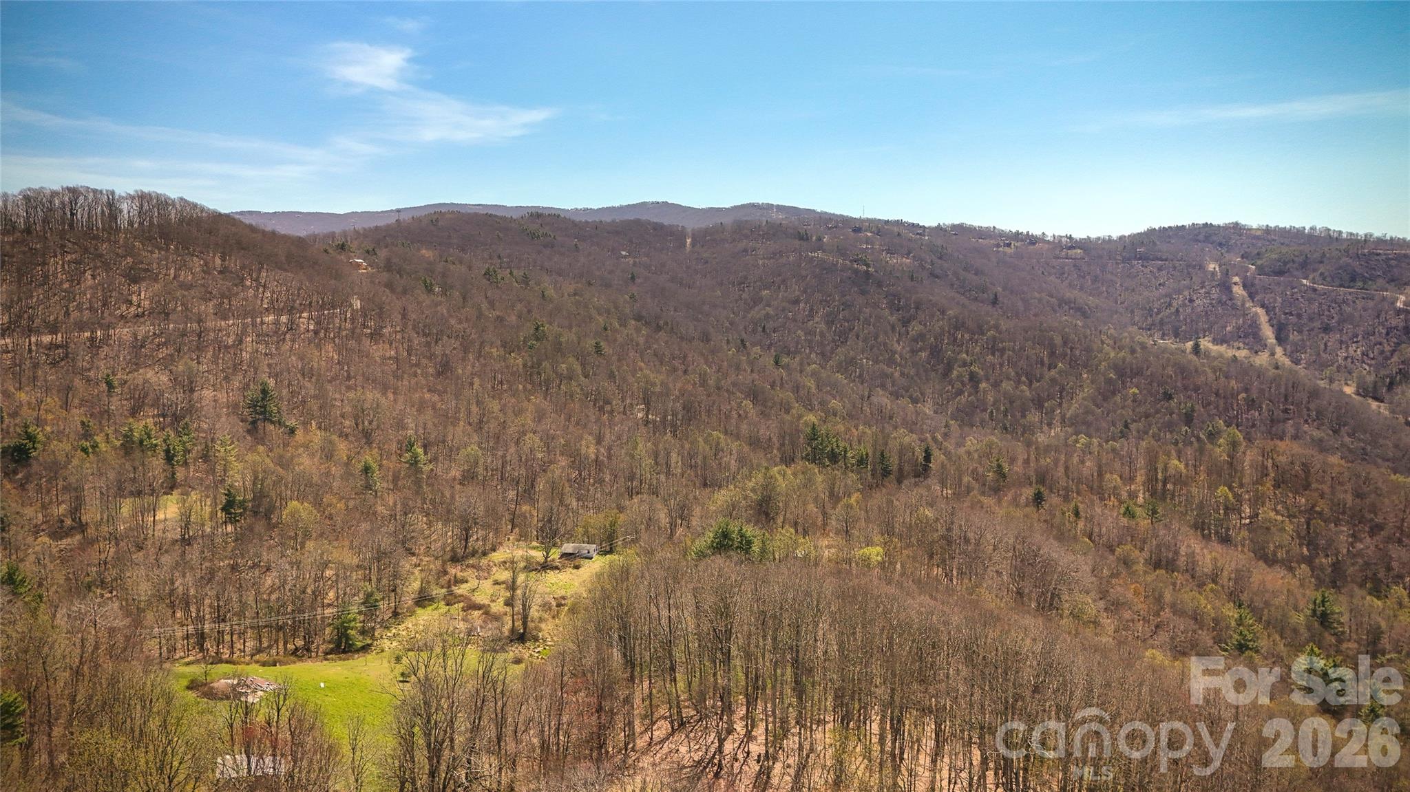 7277 Beech Mountain Road Elk Park, NC 28622 - Photo 4 of 12 a view of a mountain in the distance in a field