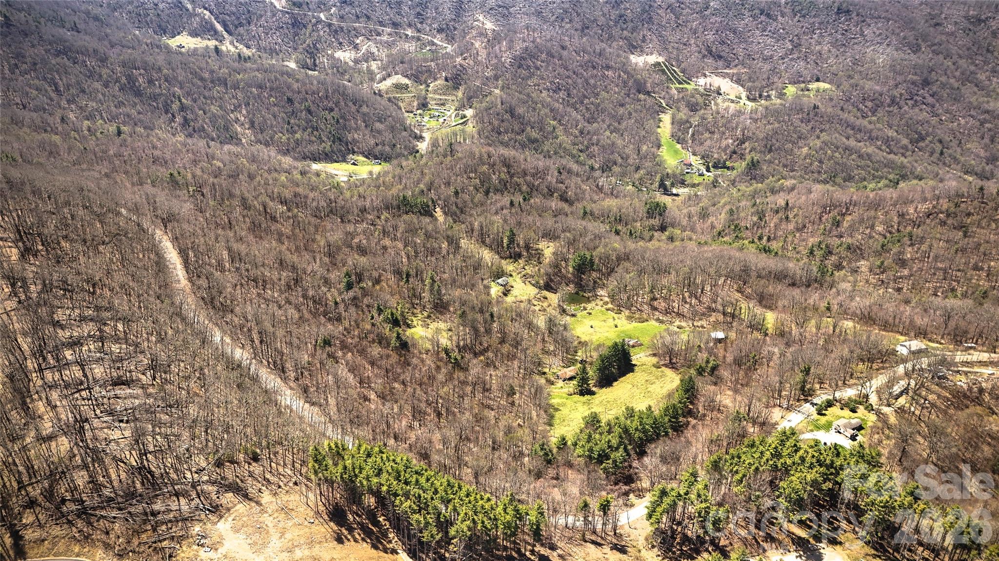 7277 Beech Mountain Road Elk Park, NC 28622 - Photo 5 of 12