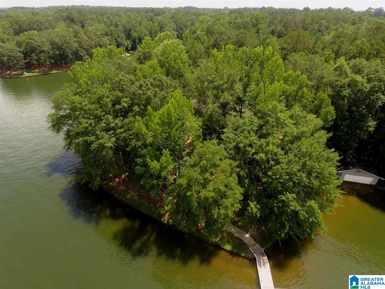 356 Florence Road Wedowee, AL 36278 - Photo 48 of 50