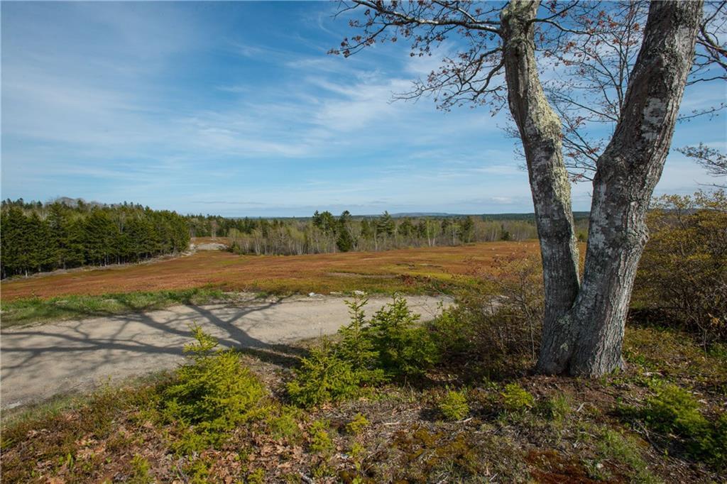 33 Ferry Road Brooksville, ME 04617 - Photo 9 of 22 Photo
