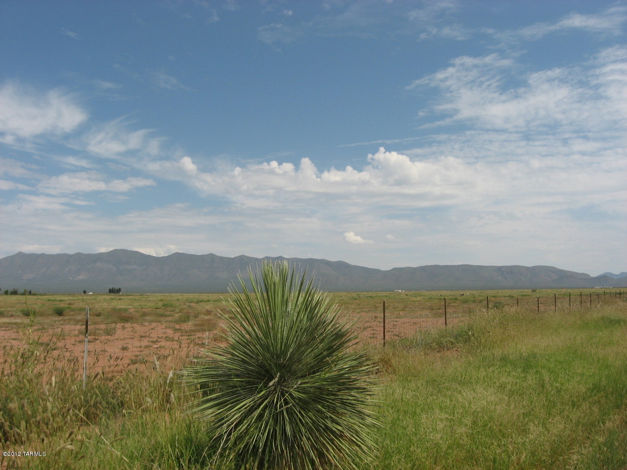 40 Acre On Ee Ranch Road McNeal, AZ 85617 - Photo 13 of 18 Gallery Image 13