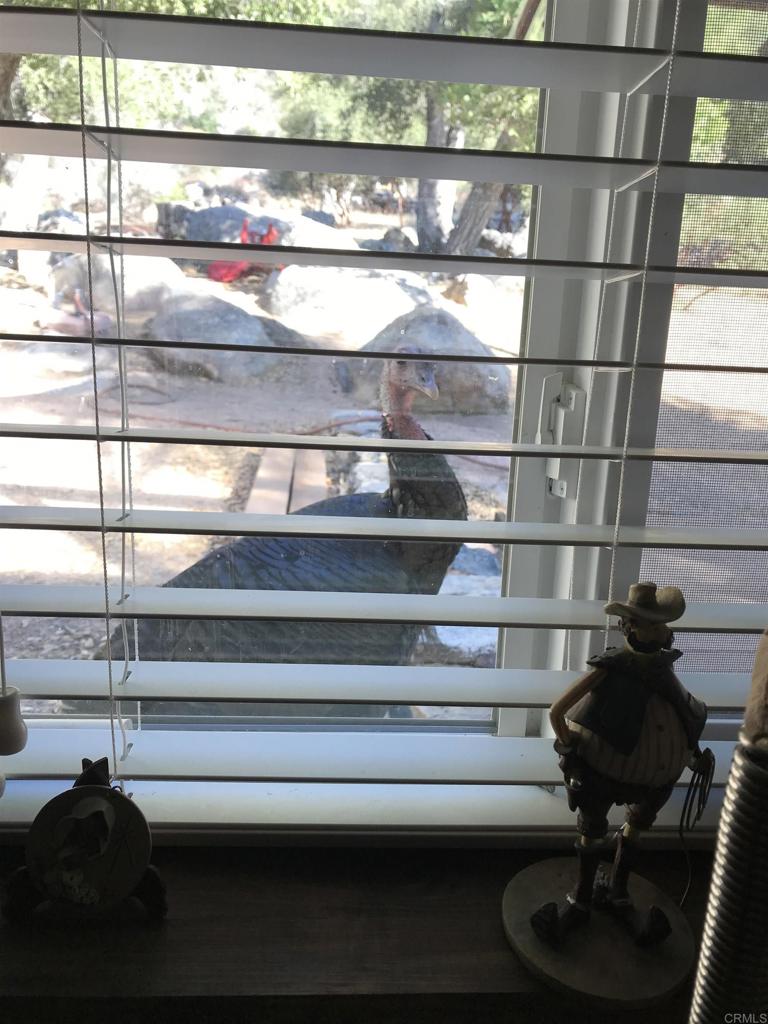 9150- Pine Creek Road Pine Valley, CA 91962 - Photo 34 of 44 a room with a book shelf