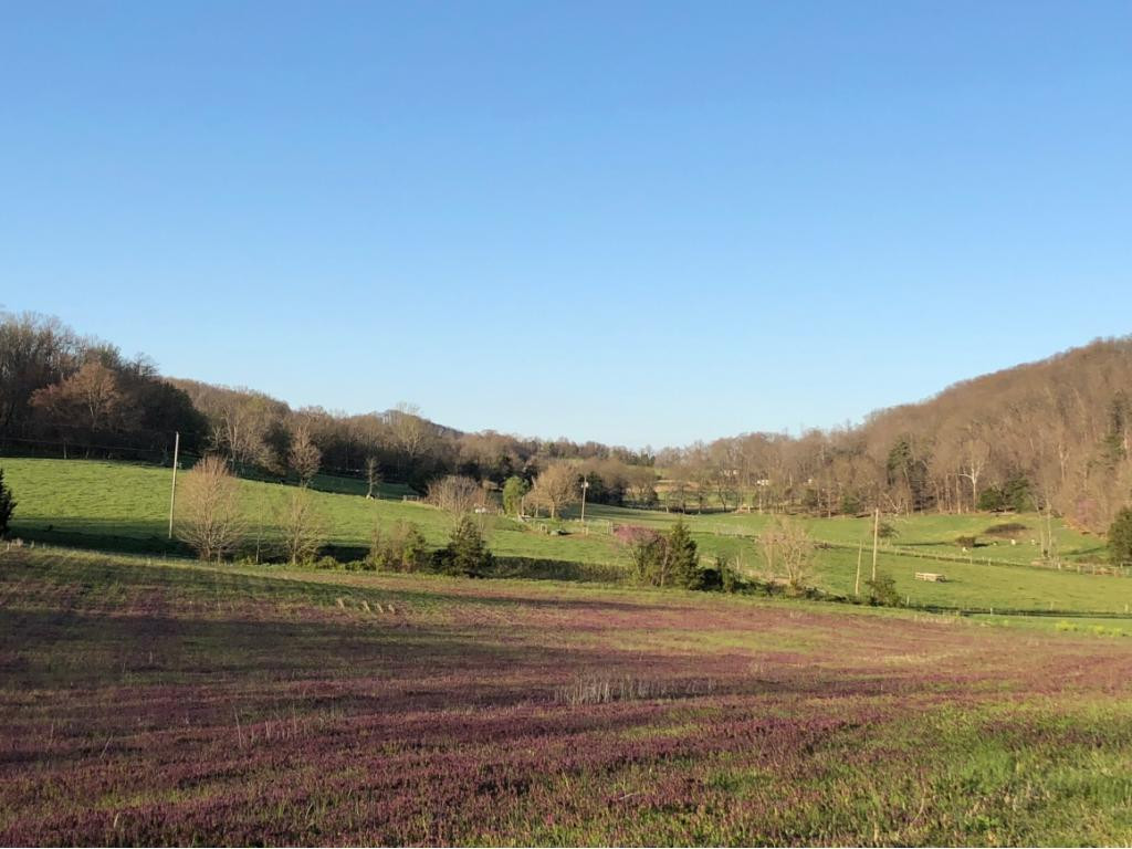 184 Cloyd Road Jonesborough, TN 37659 - Photo 2 of 14 Photo 2