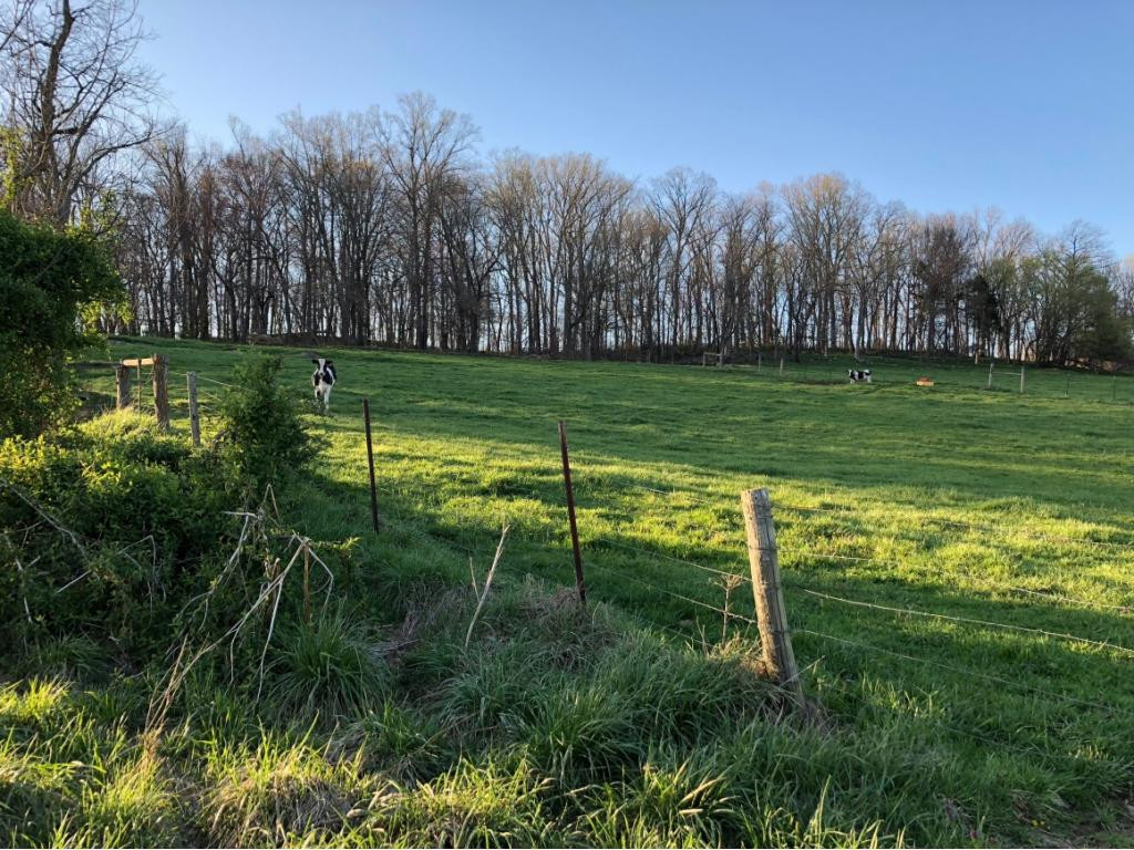 184 Cloyd Road Jonesborough, TN 37659 - Photo 11 of 14 Photo 11