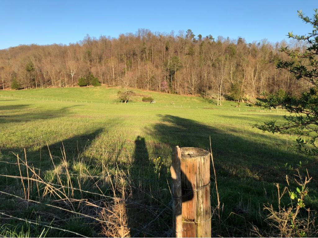 184 Cloyd Road Jonesborough, TN 37659 - Photo 12 of 14 Photo 12