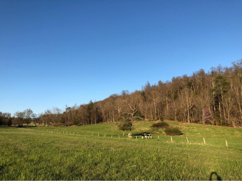 184 Cloyd Road Jonesborough, TN 37659 - Photo 13 of 14 Photo 13