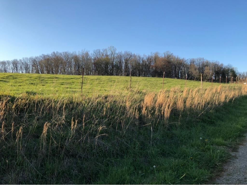 184 Cloyd Road Jonesborough, TN 37659 - Photo 3 of 14 Photo 3