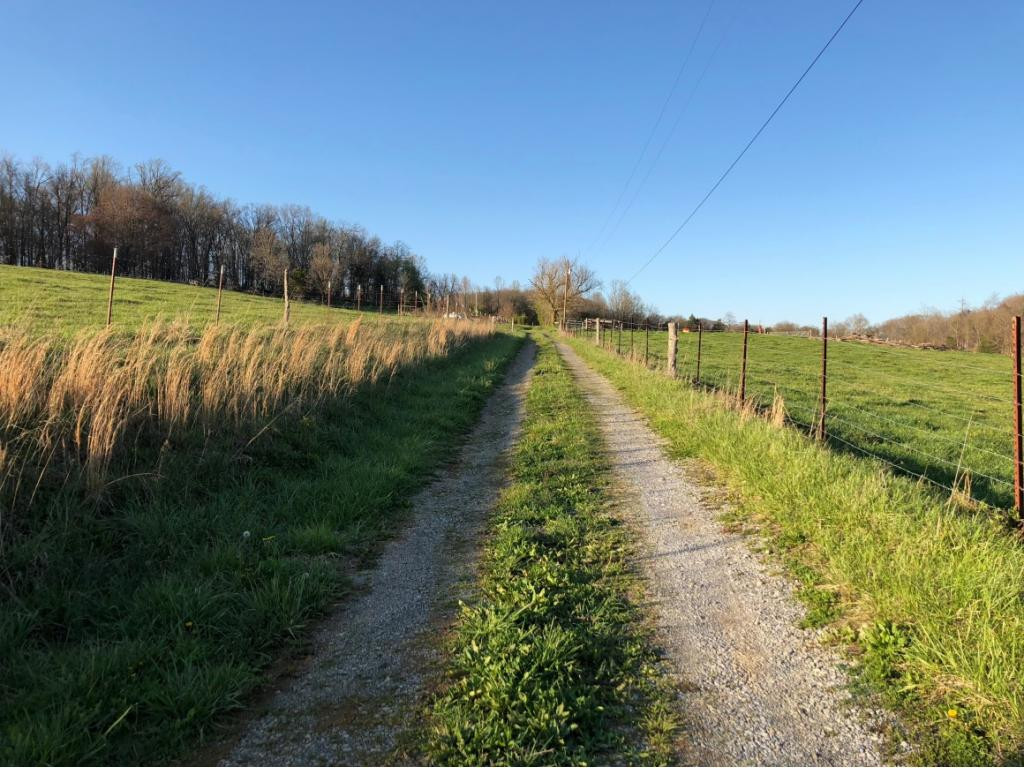 184 Cloyd Road Jonesborough, TN 37659 - Photo 4 of 14 Photo 4