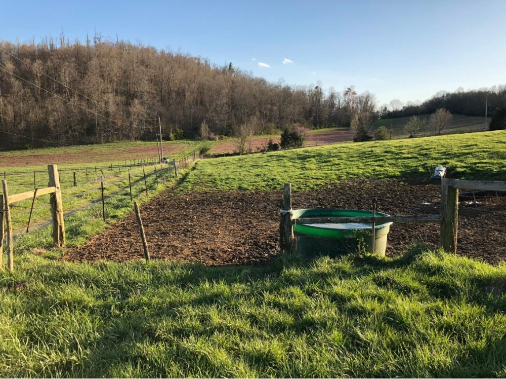 184 Cloyd Road Jonesborough, TN 37659 - Photo 5 of 14 Photo 5