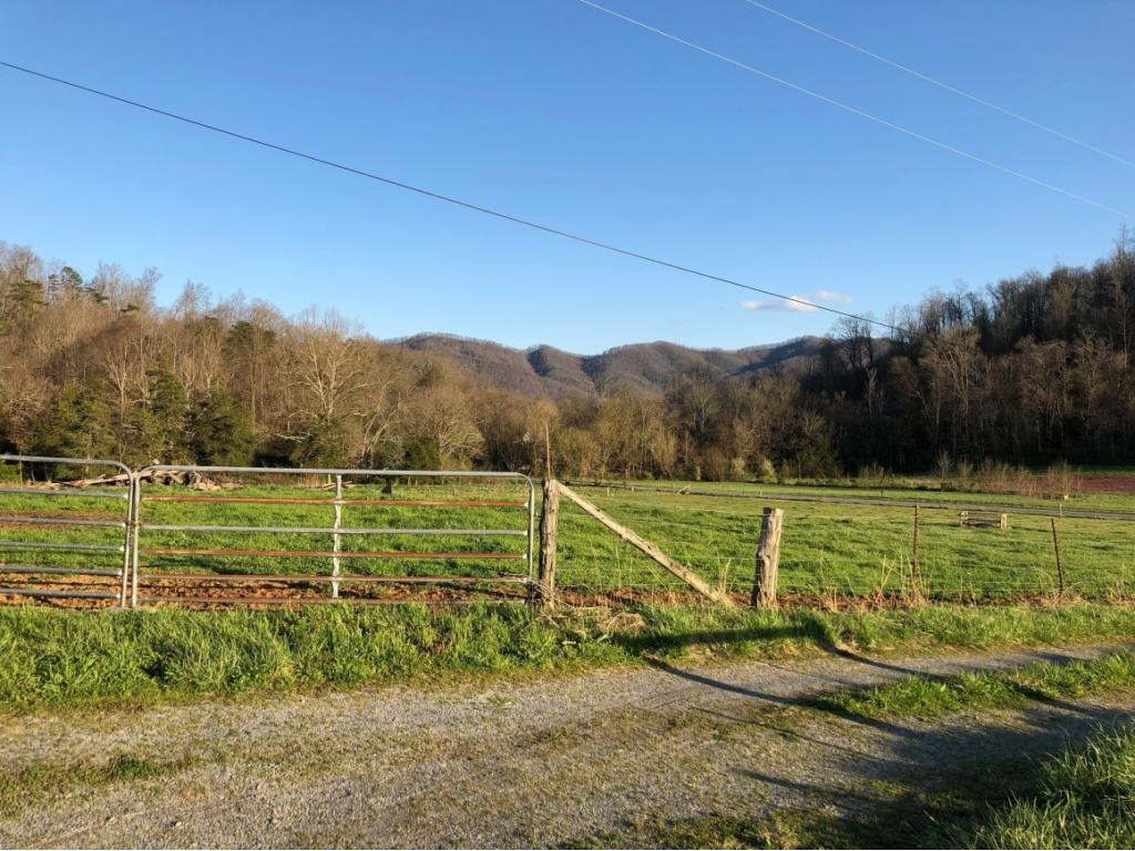 184 Cloyd Road Jonesborough, TN 37659 - Photo 6 of 14 Photo 6