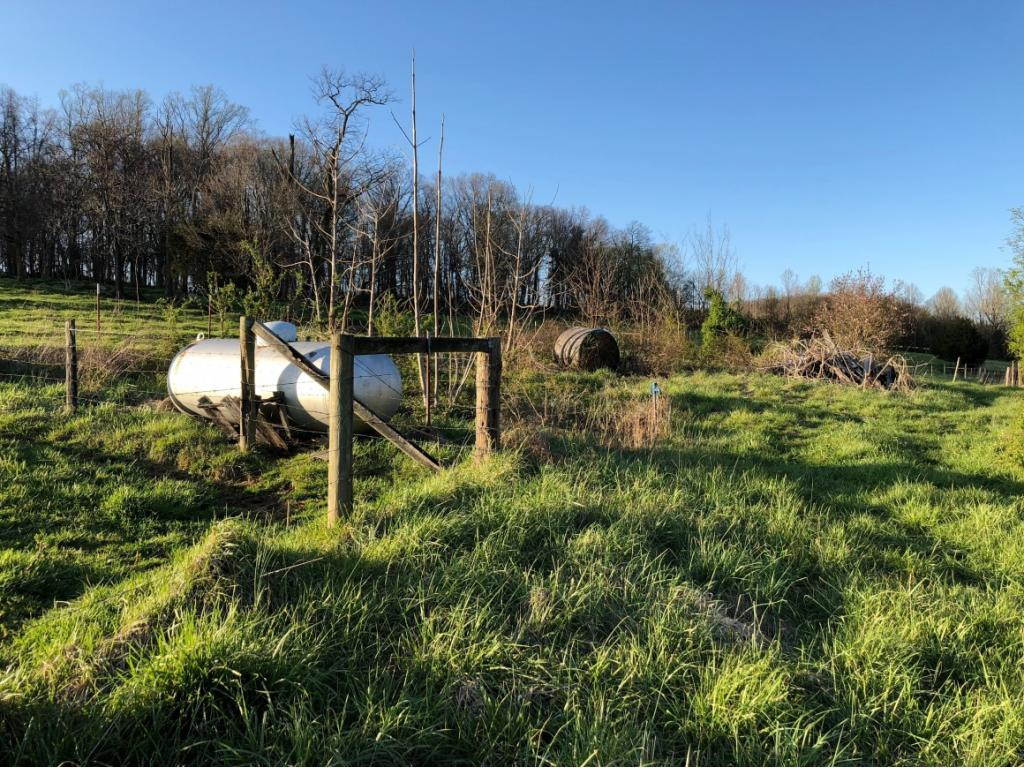 184 Cloyd Road Jonesborough, TN 37659 - Photo 8 of 14 Photo 8