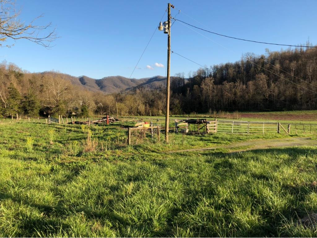 184 Cloyd Road Jonesborough, TN 37659 - Photo 9 of 14 Photo 9