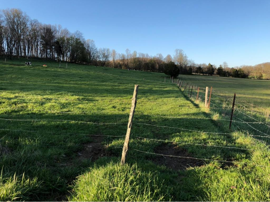 184 Cloyd Road Jonesborough, TN 37659 - Photo 10 of 14 Photo 10