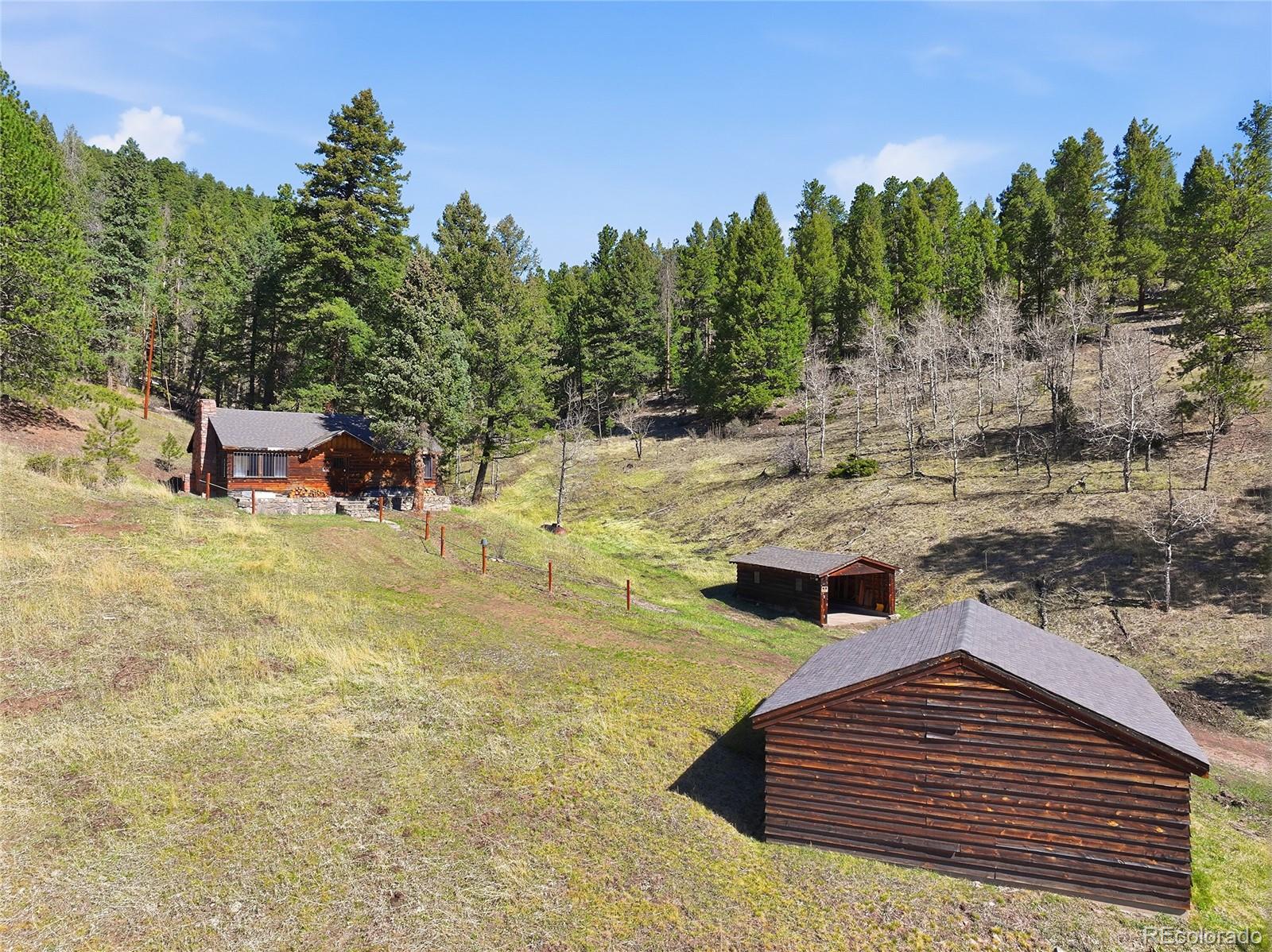 33601 Stransky Road Evergreen, CO 80439 - Photo 28 of 38 Gallery Image 28