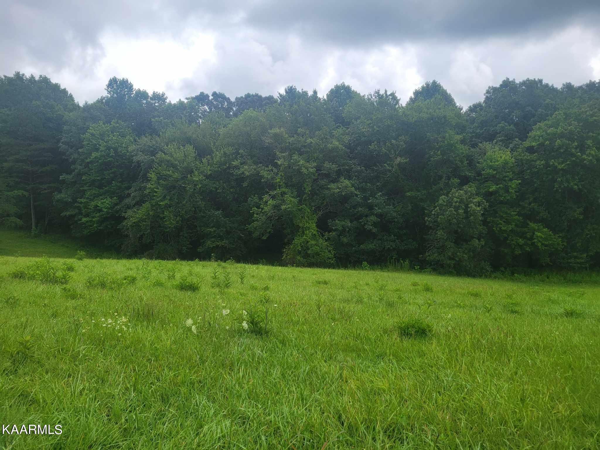 0 40 Model Farm Road Jamestown, TN 38556 - Photo 21 of 59