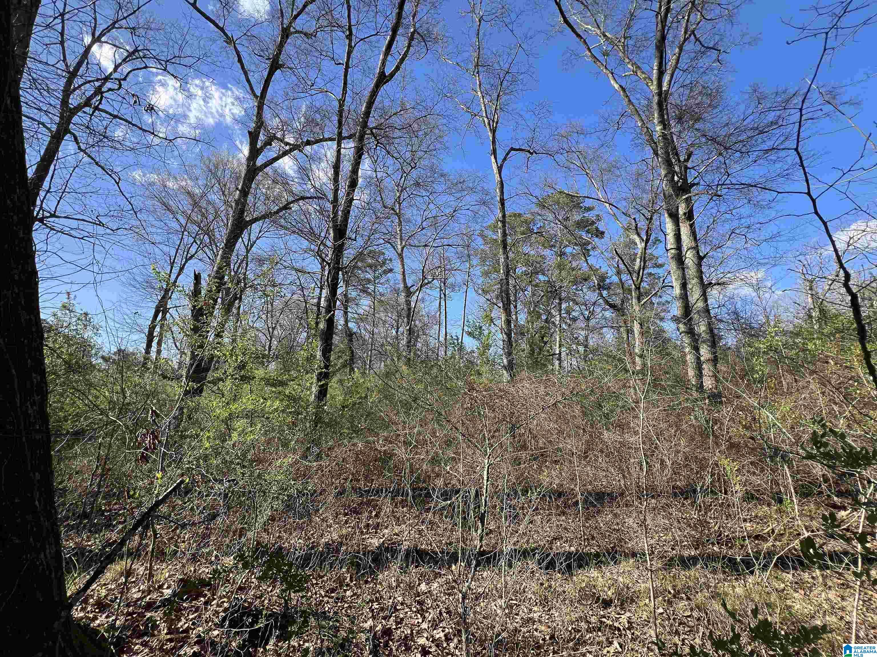 6371 Pocahontas Road, Unit 1 Bessemer, AL 35022 - Photo 1 of 6