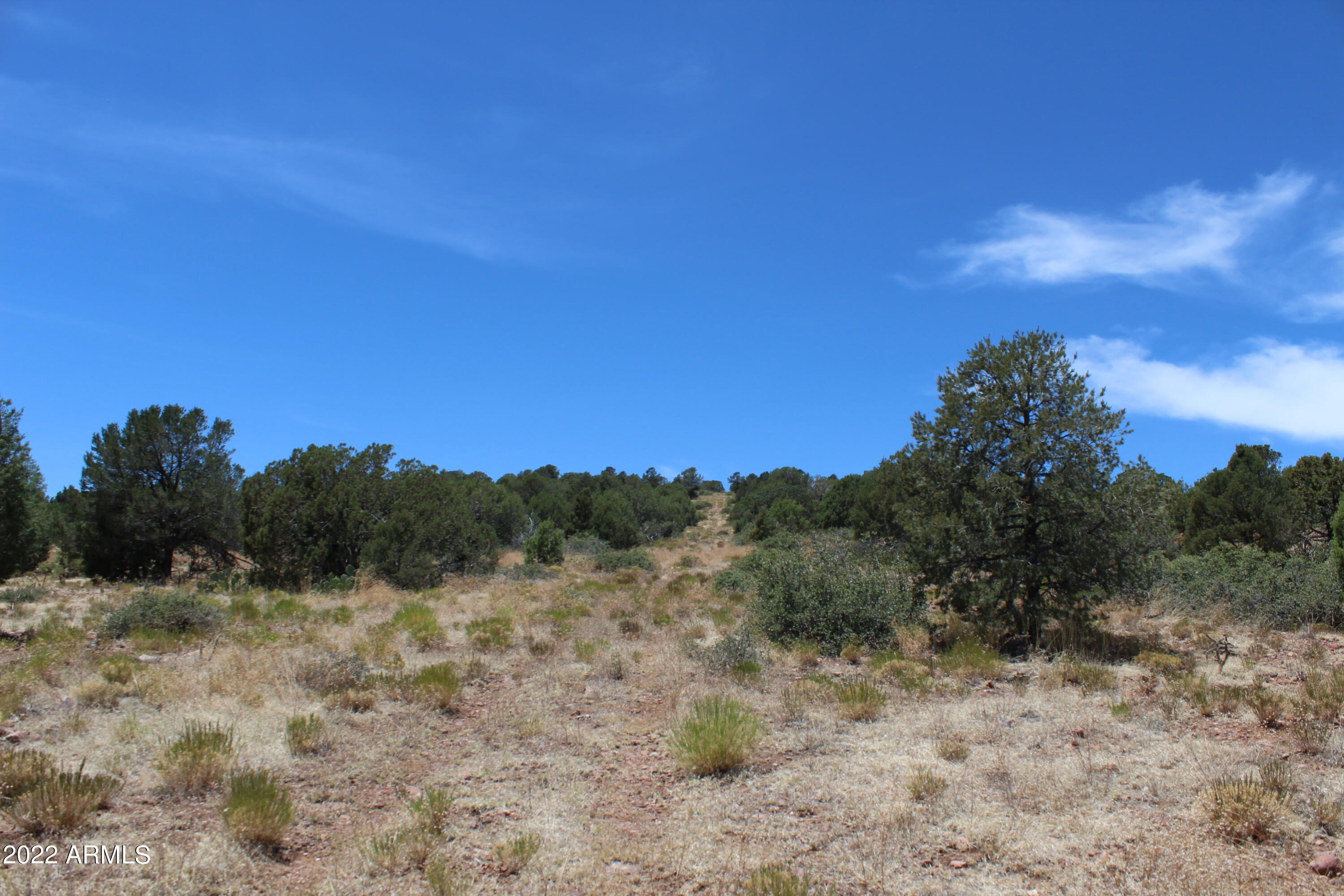 0 South Ash Creek Road Globe, AZ 85501 - Photo 11 of 100 IMG_5070