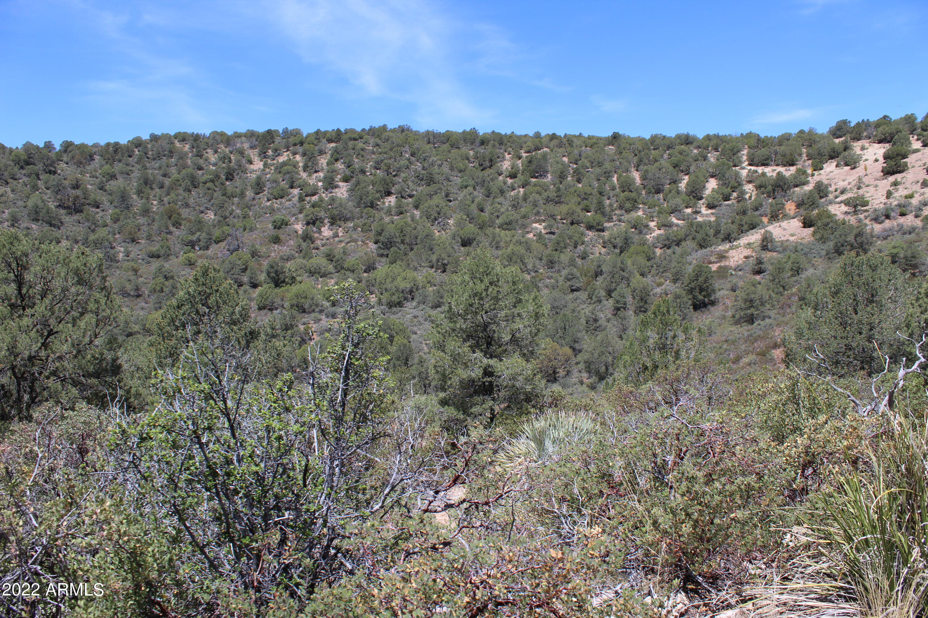 0 South Ash Creek Road Globe, AZ 85501 - Photo 22 of 100 IMG_5002