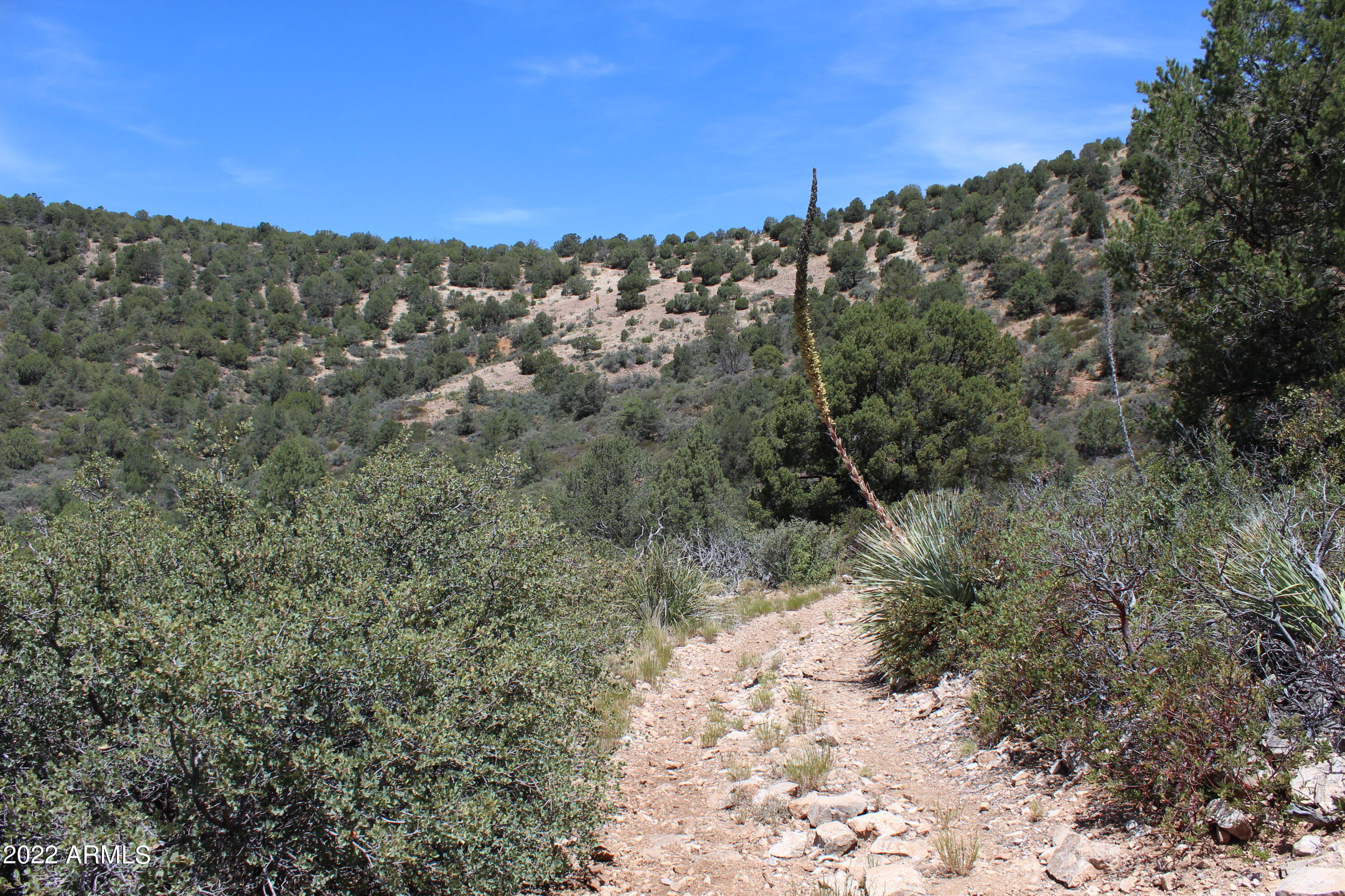 0 South Ash Creek Road Globe, AZ 85501 - Photo 23 of 100 IMG_5001