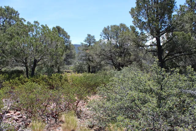 $515,000 | 0 South Ash Creek Road, Globe, AZ 85501