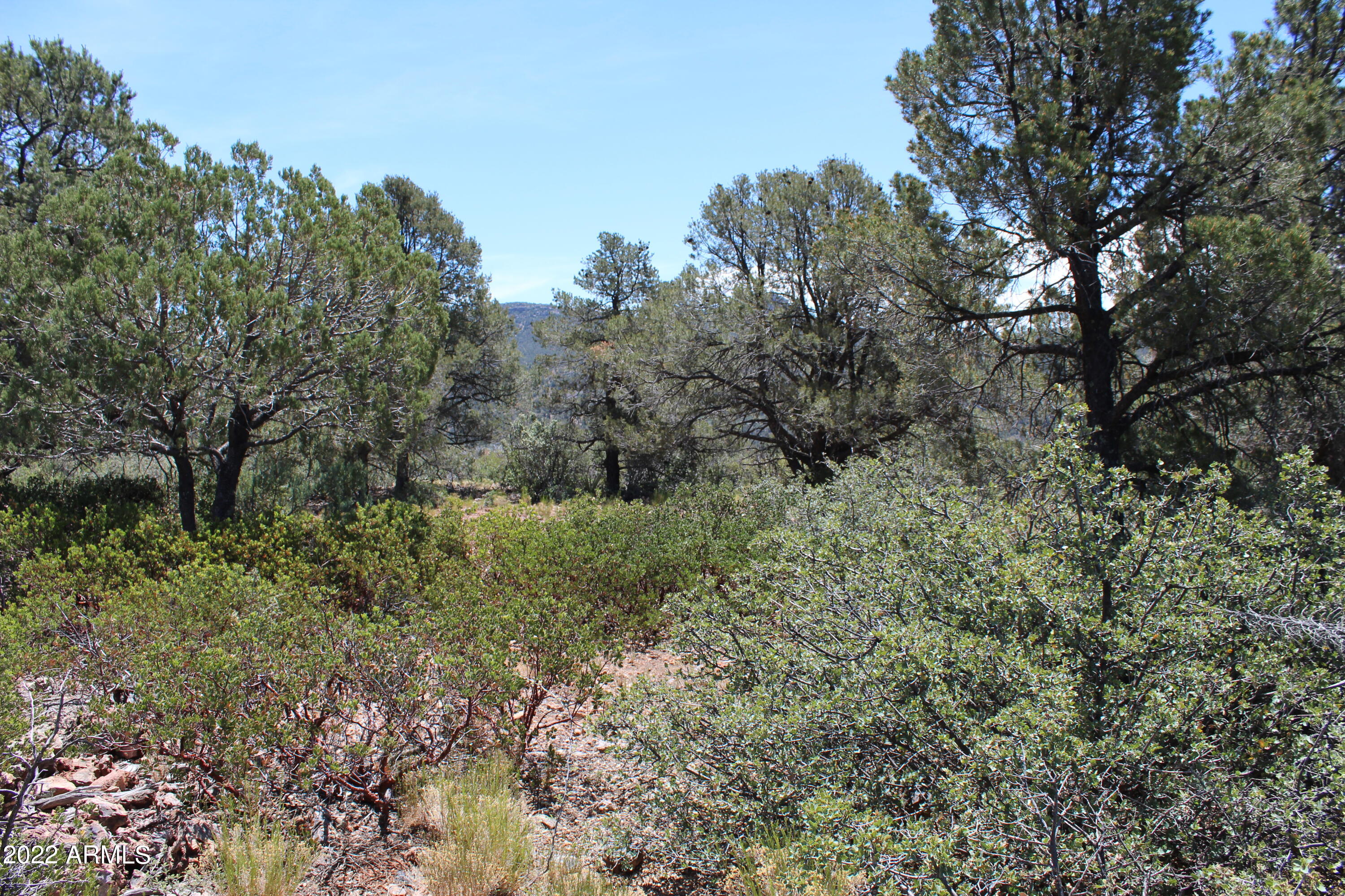 0 South Ash Creek Road Globe, AZ 85501 - Photo 24 of 100 IMG_4997