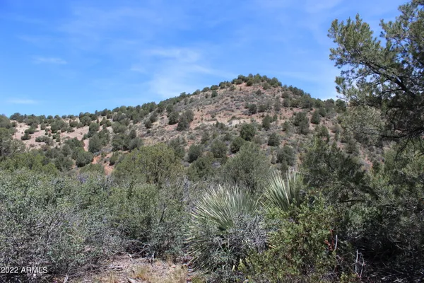 $515,000 | 0 South Ash Creek Road, Globe, AZ 85501