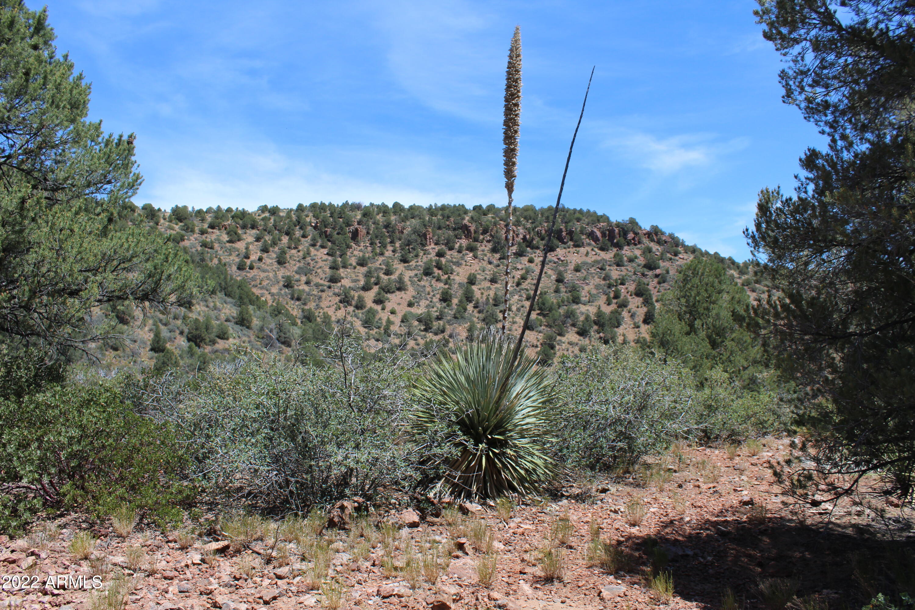 0 South Ash Creek Road Globe, AZ 85501 - Photo 26 of 100 IMG_4994