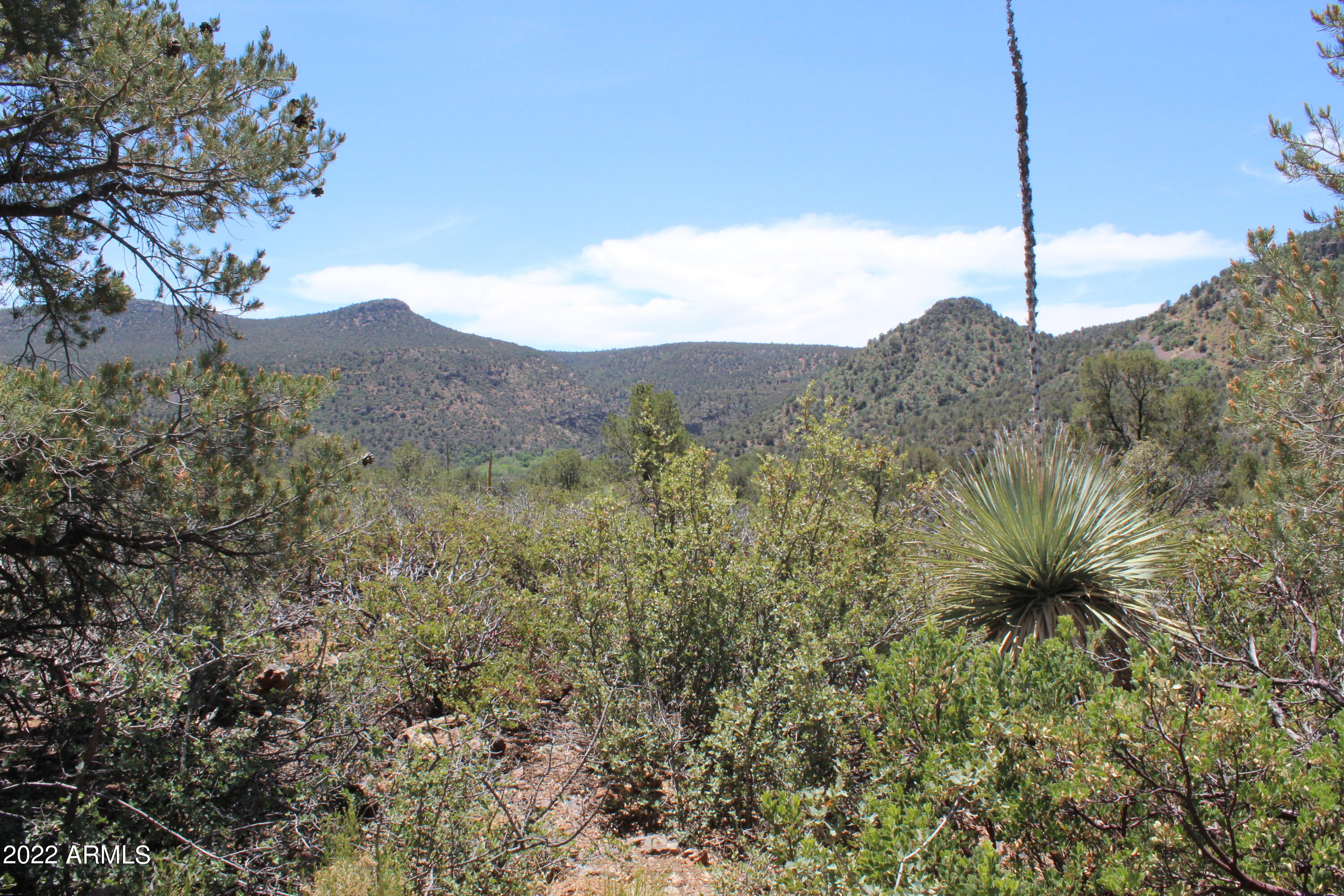 0 South Ash Creek Road Globe, AZ 85501 - Photo 28 of 100 IMG_4990
