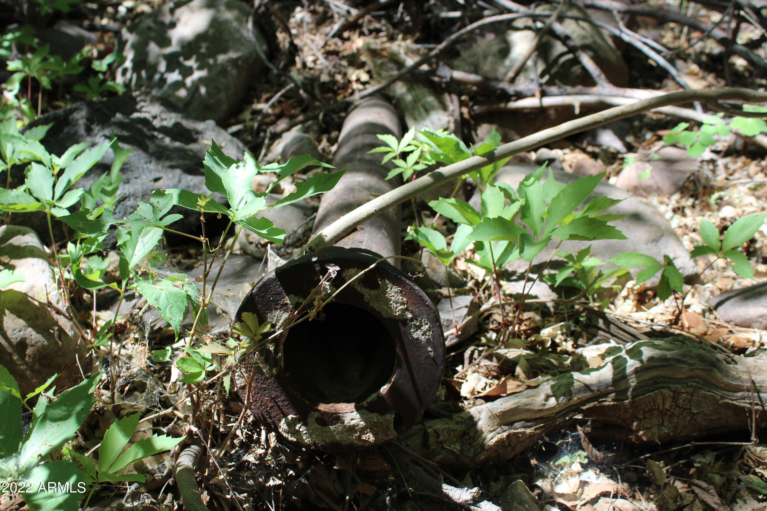 0 South Ash Creek Road Globe, AZ 85501 - Photo 29 of 100 IMG_4984