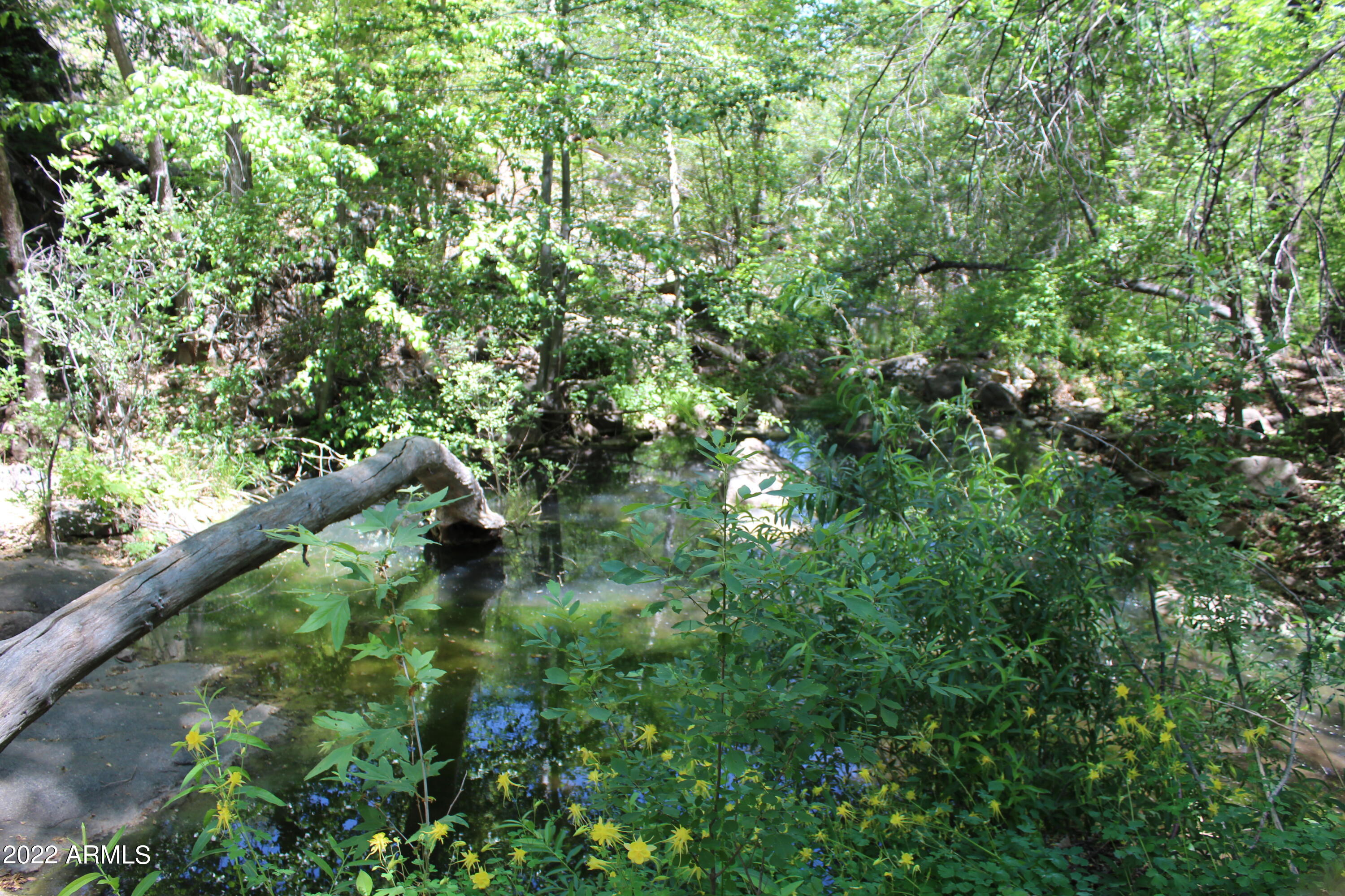 0 South Ash Creek Road Globe, AZ 85501 - Photo 30 of 100 IMG_4982