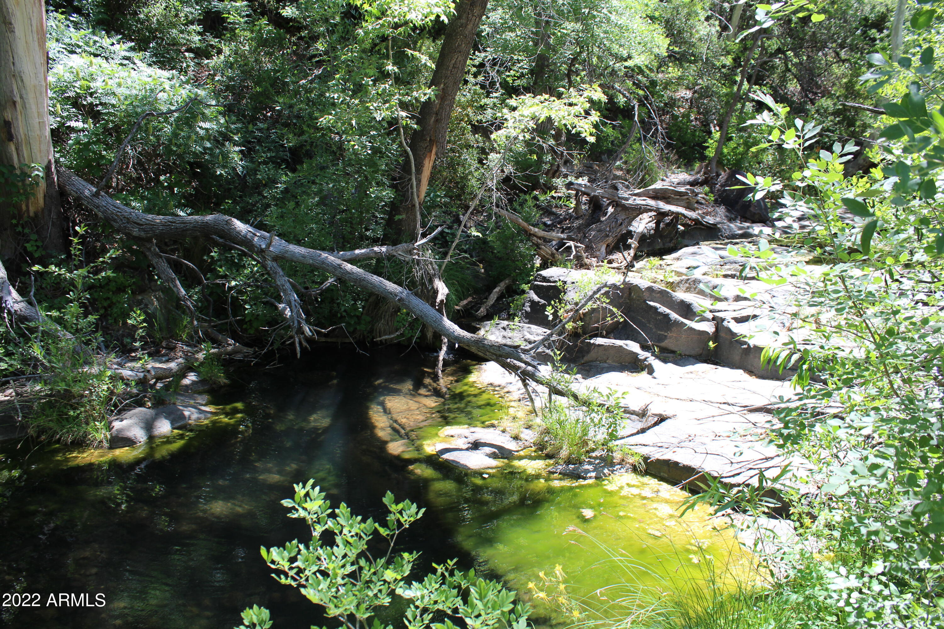 0 South Ash Creek Road Globe, AZ 85501 - Photo 34 of 100 IMG_4967